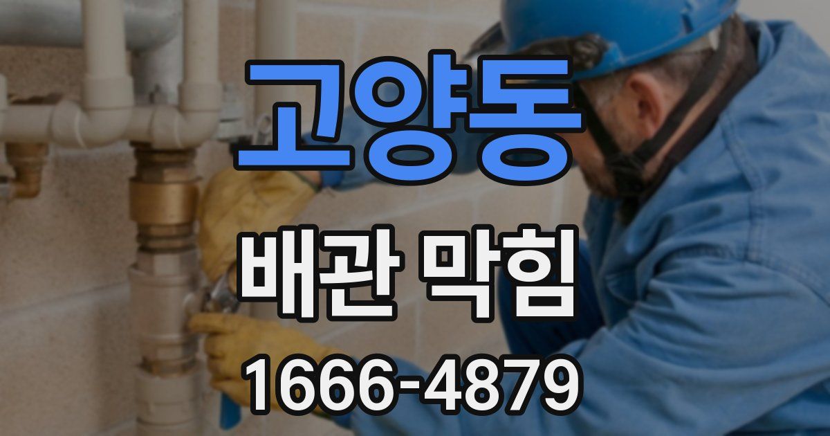 고양동 배관 막힘