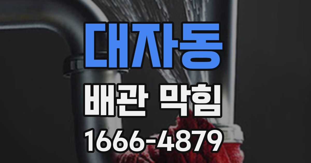 대자동 배관 막힘