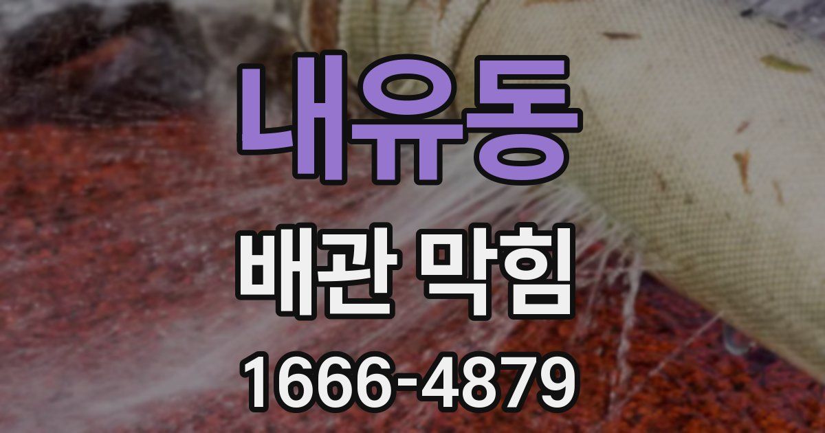 내유동 배관 막힘
