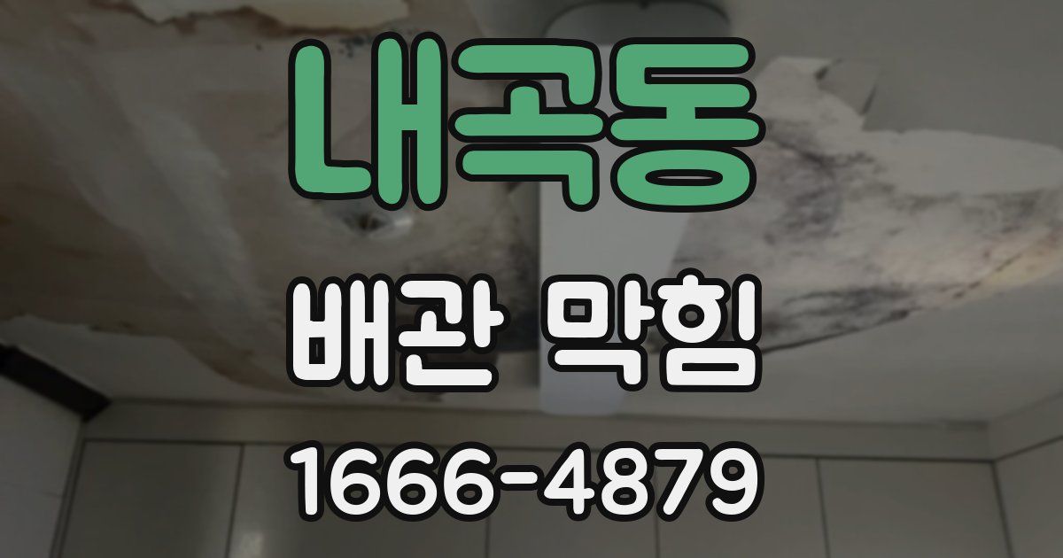 내곡동 배관 막힘