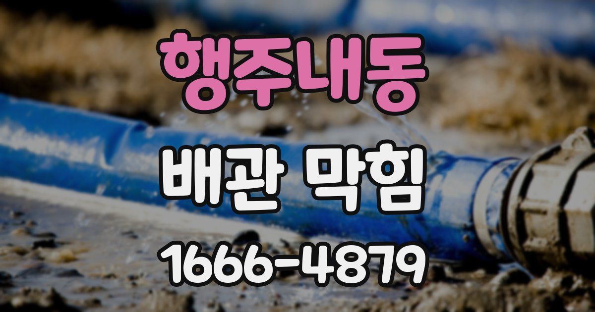 행주내동 배관 막힘