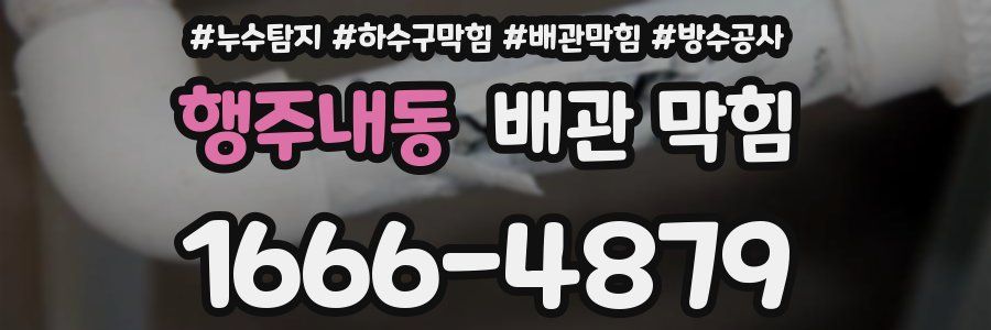 행주내동 배관 막힘