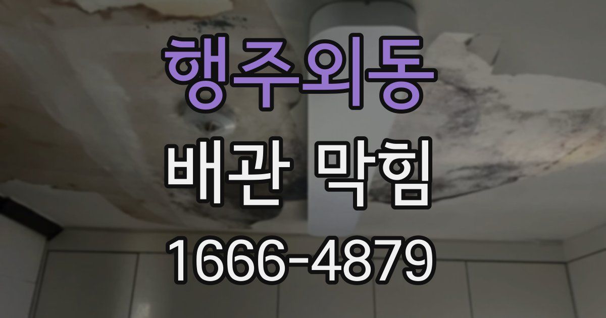 행주외동 배관 막힘
