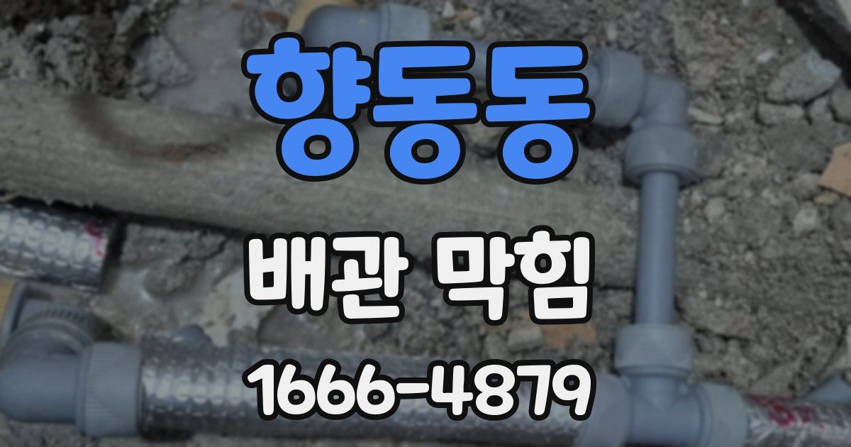 향동동 배관 막힘