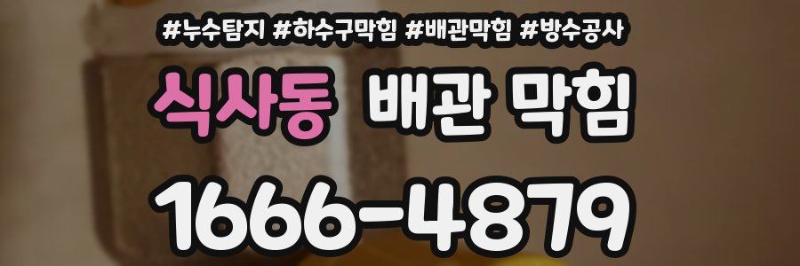 식사동 배관 막힘