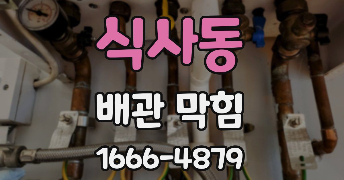 식사동 배관 막힘