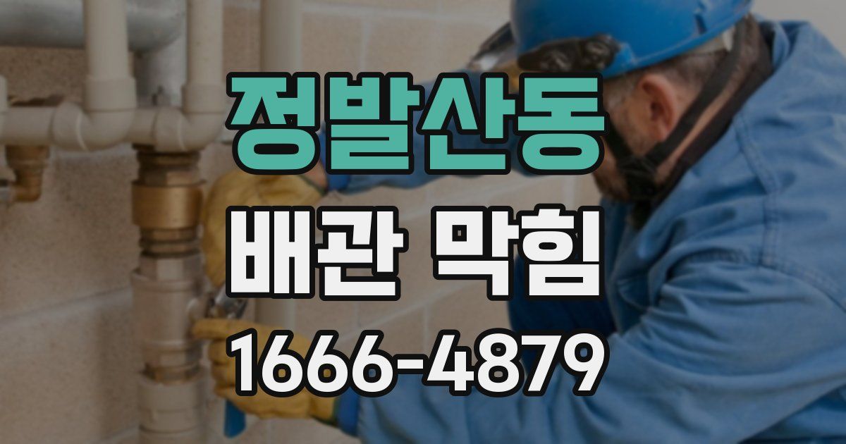 정발산동 배관 막힘