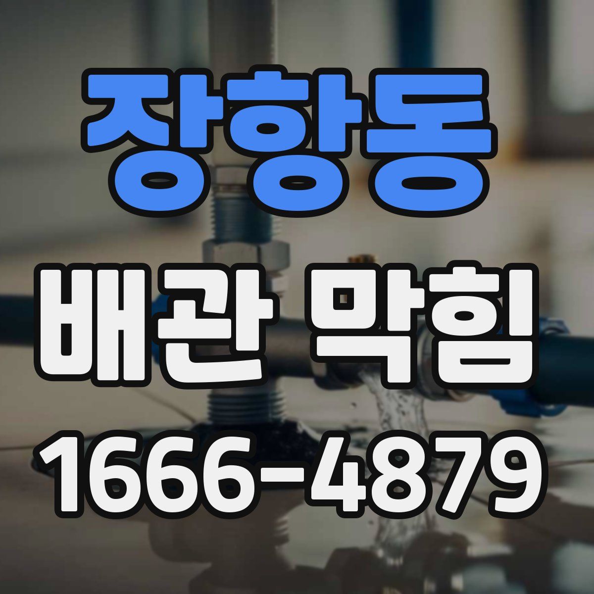장항동 배관 막힘