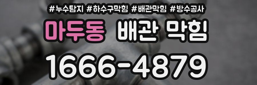 마두동 배관 막힘