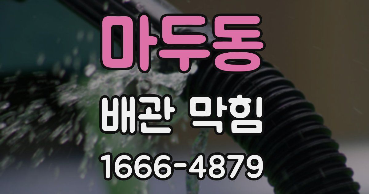 마두동 배관 막힘