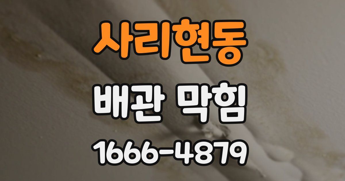 사리현동 배관 막힘