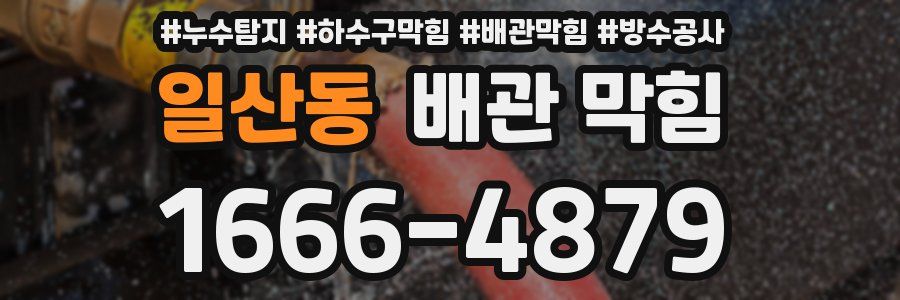 일산동 배관 막힘