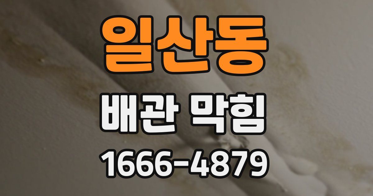 일산동 배관 막힘