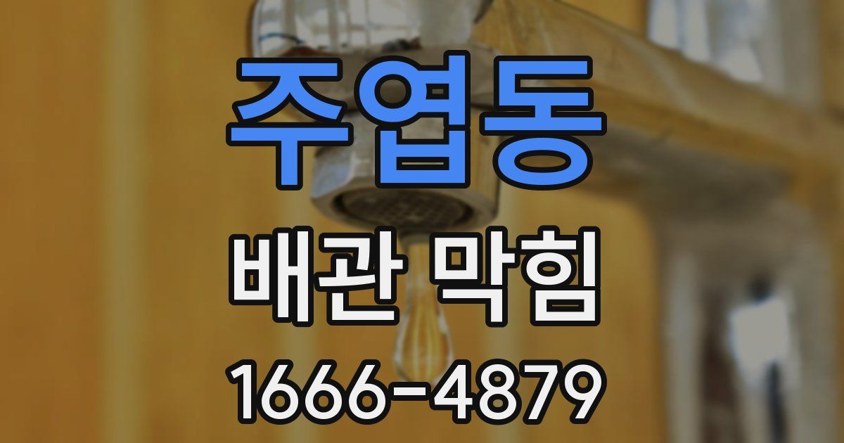 주엽동 배관 막힘