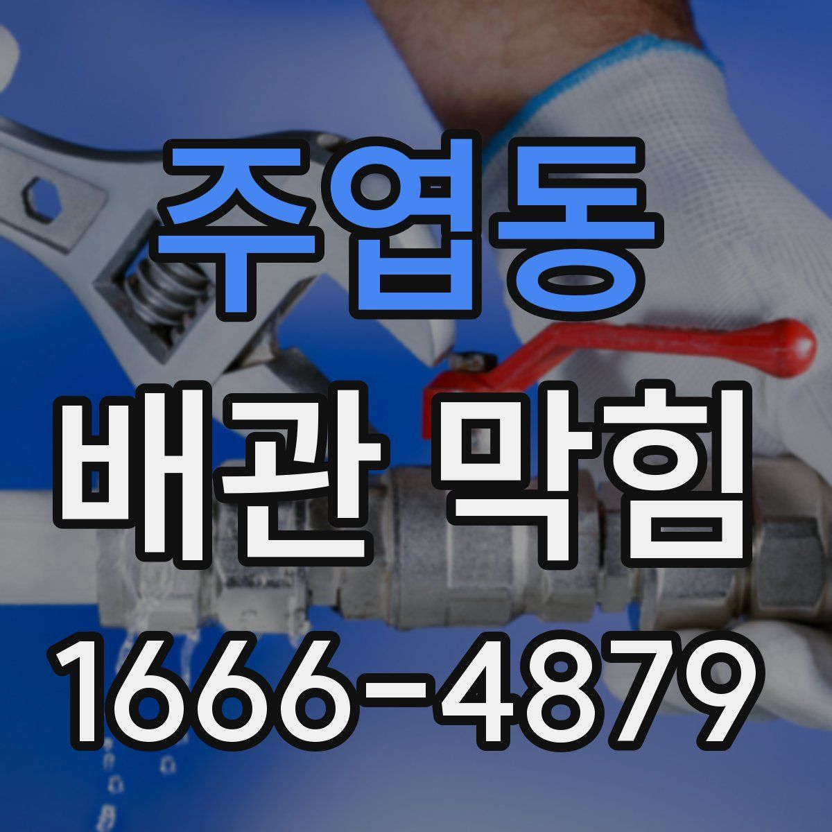 주엽동 배관 막힘