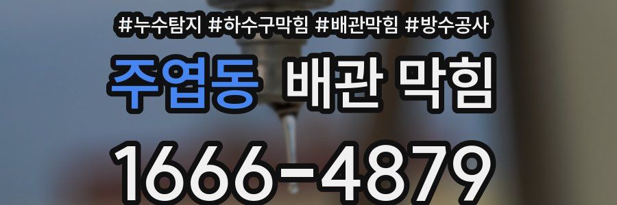 주엽동 배관 막힘