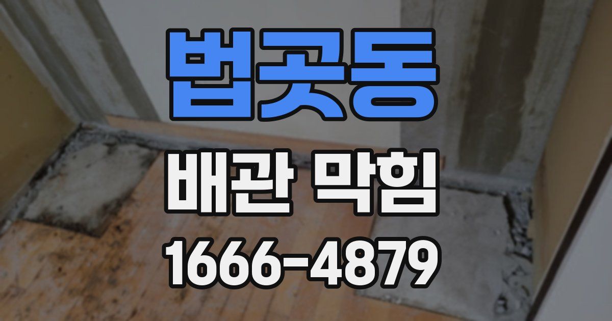 법곳동 배관 막힘