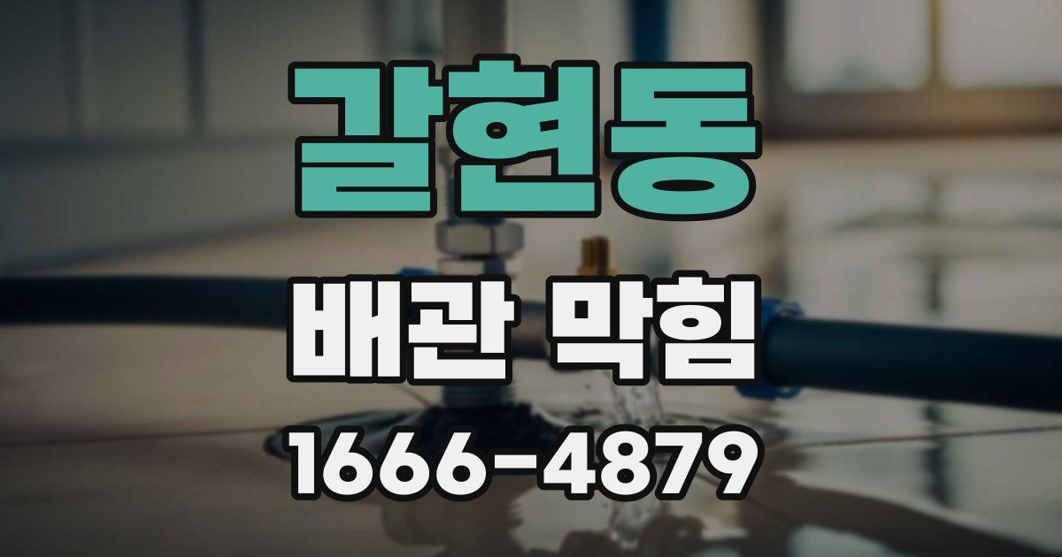 갈현동 배관 막힘