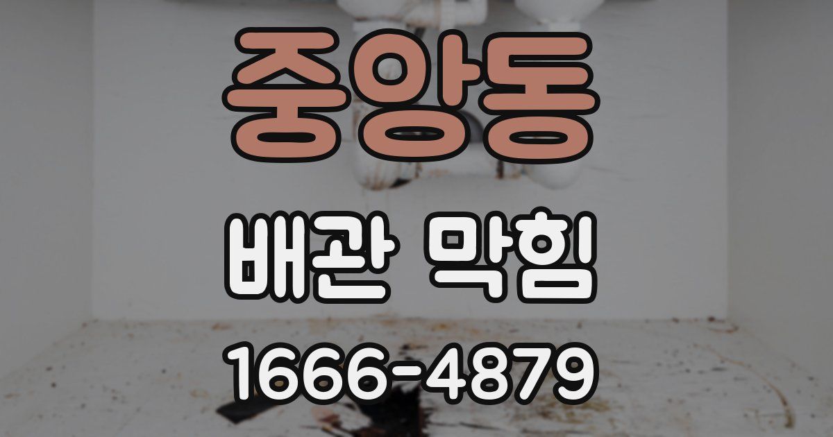 중앙동 배관 막힘