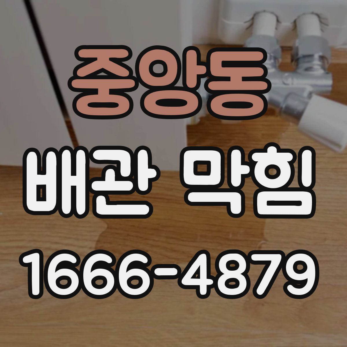 중앙동 배관 막힘