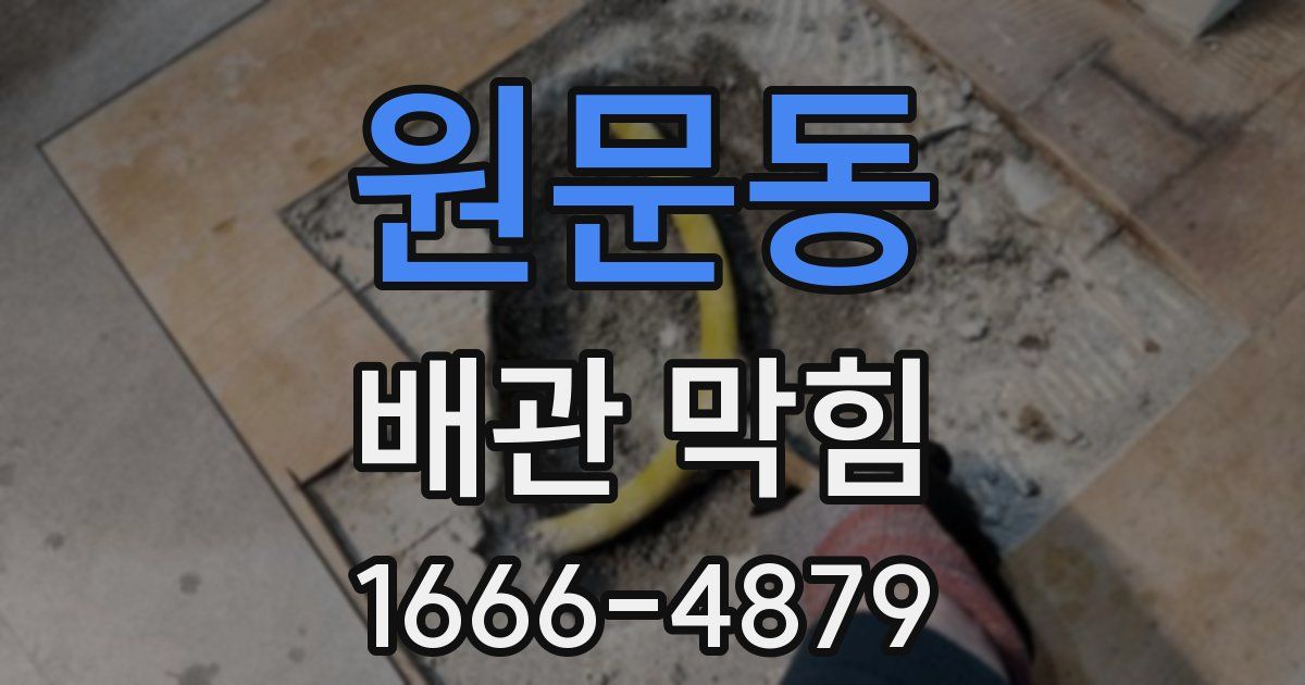 원문동 배관 막힘