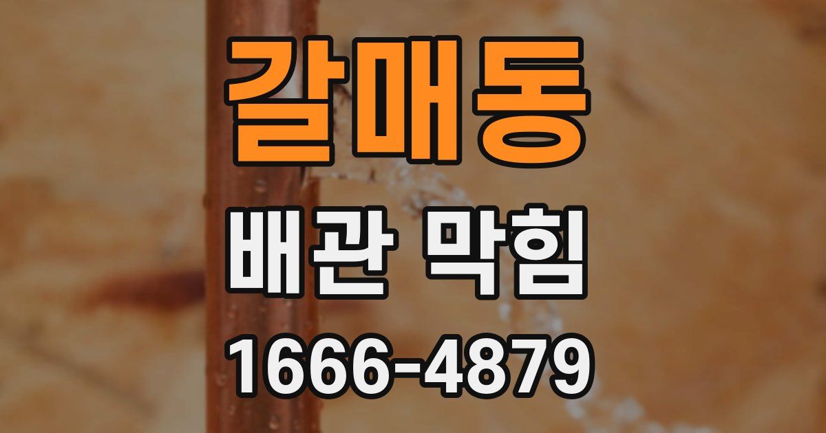 갈매동 배관 막힘