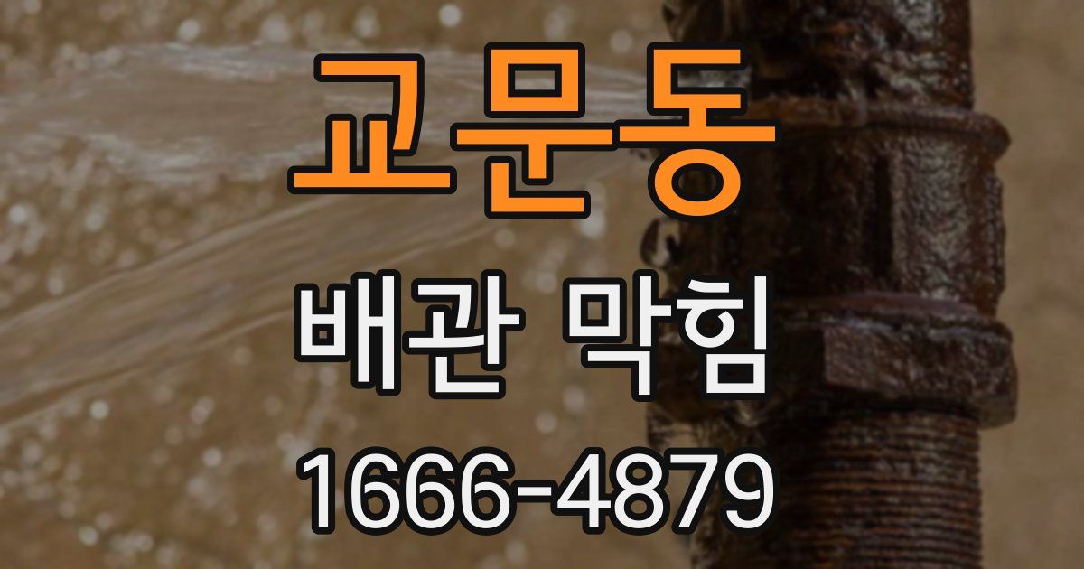 교문동 배관 막힘
