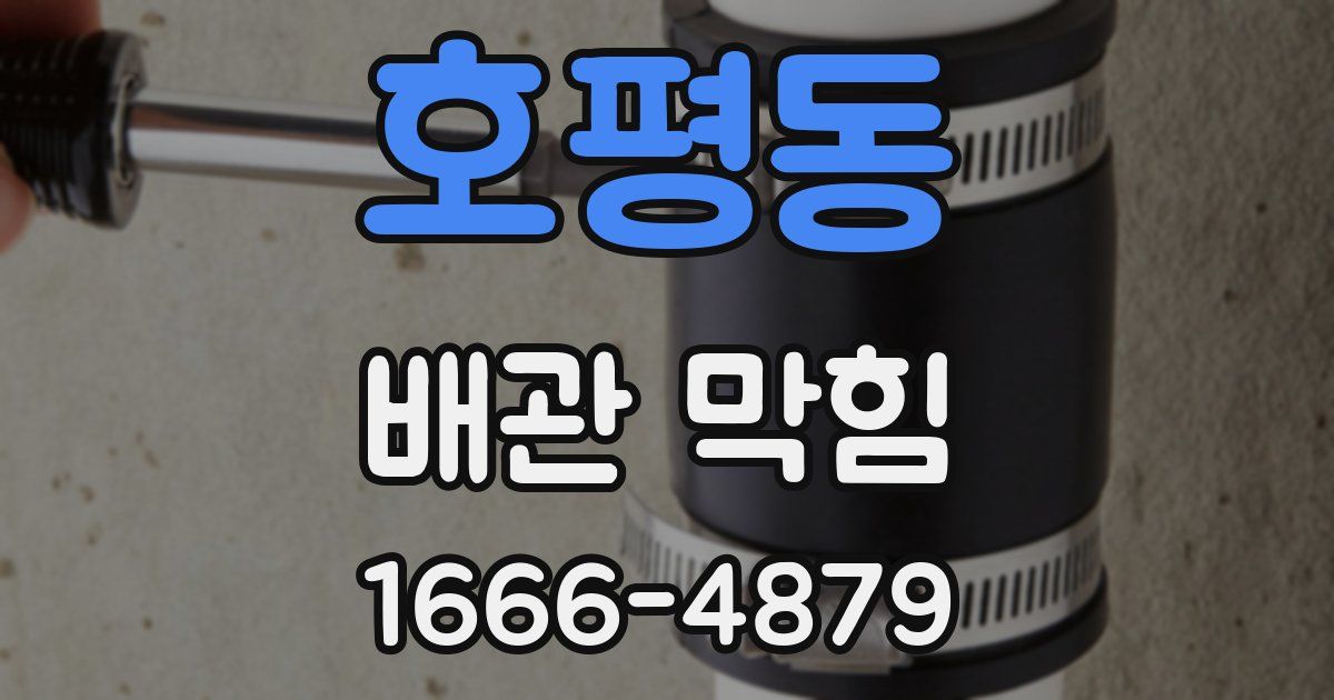 호평동 배관 막힘