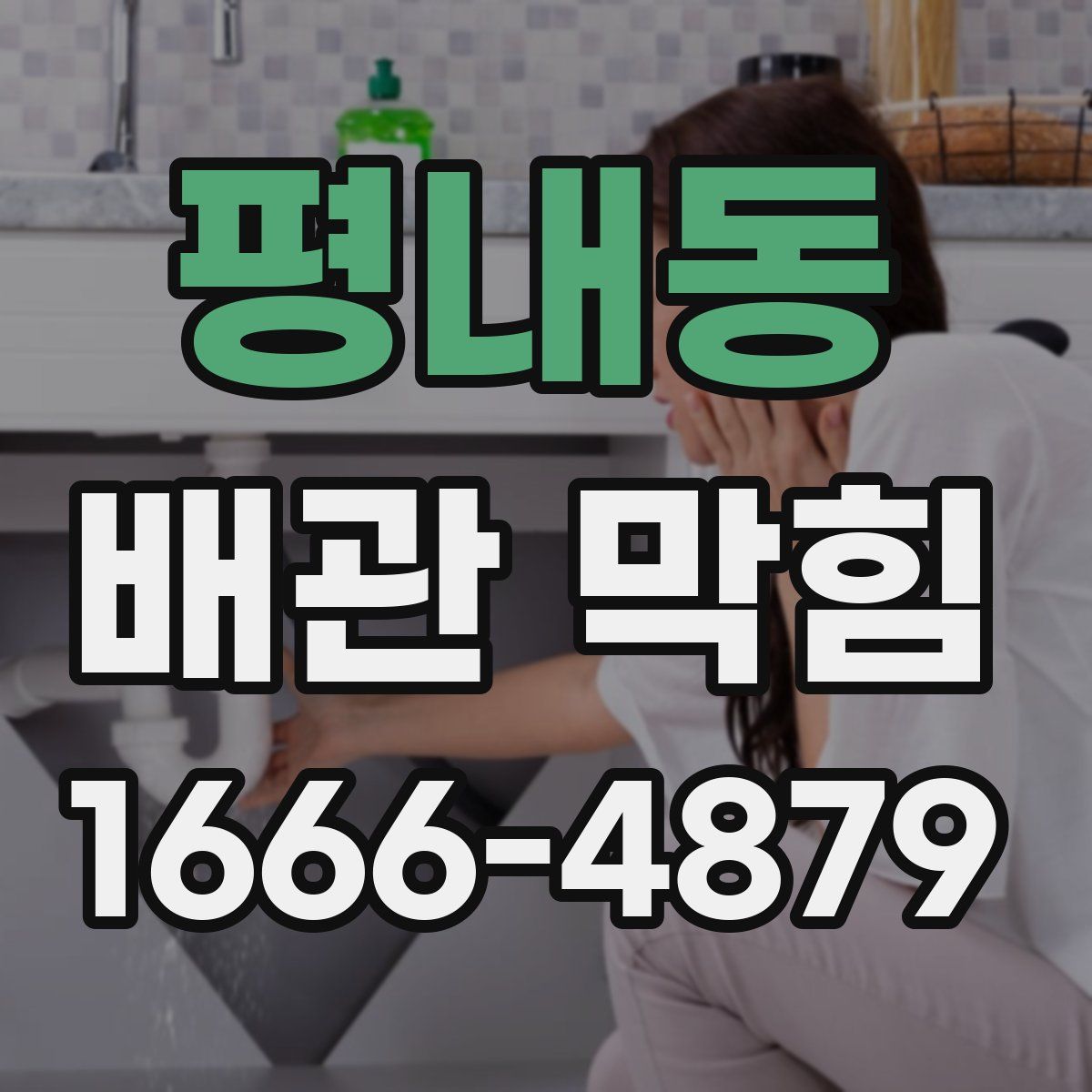평내동 배관 막힘