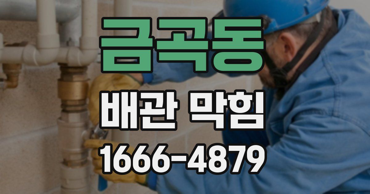 금곡동 배관 막힘