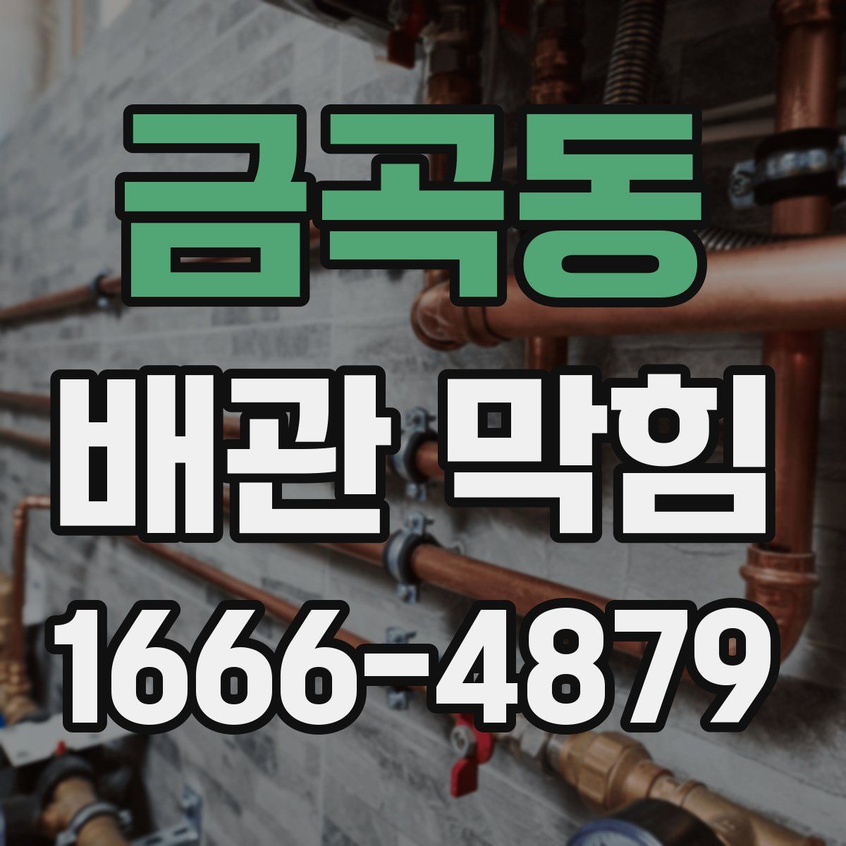 금곡동 배관 막힘