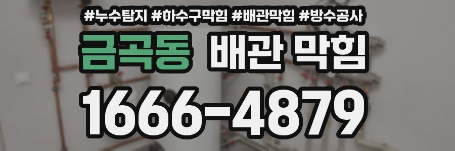 금곡동 배관 막힘