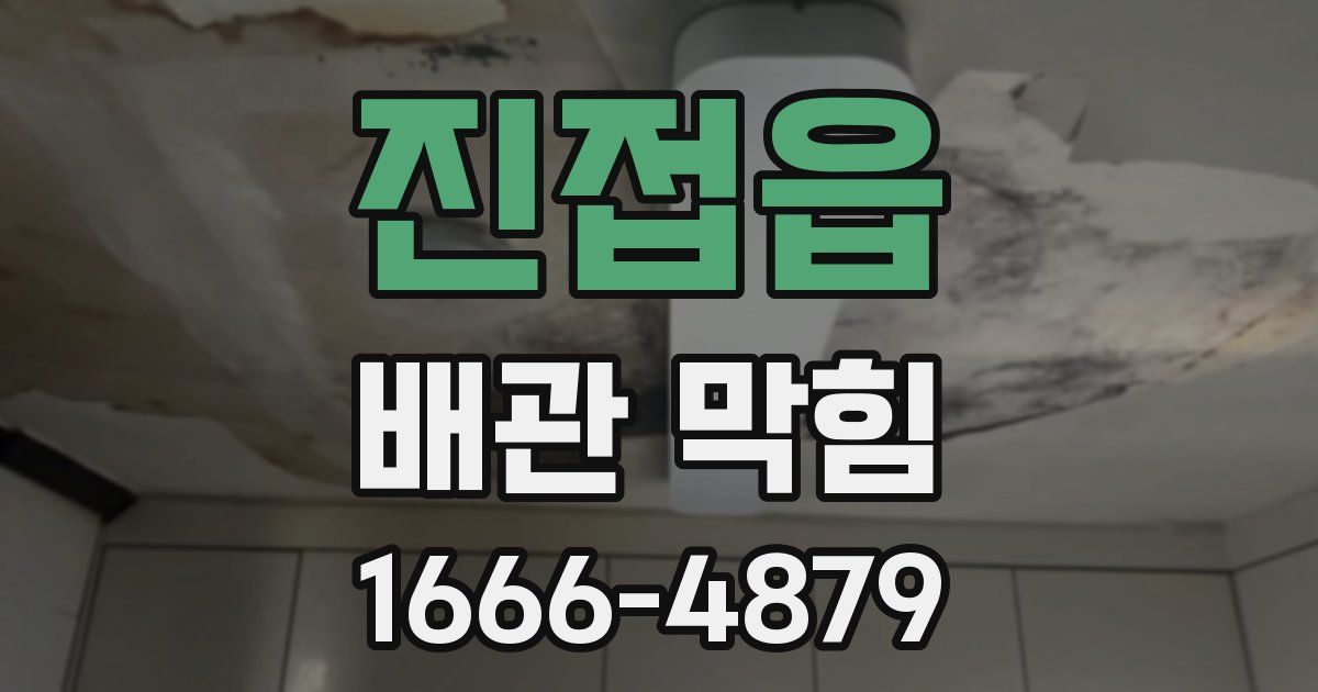 진접읍 배관 막힘