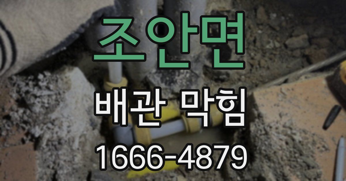 조안면 배관 막힘