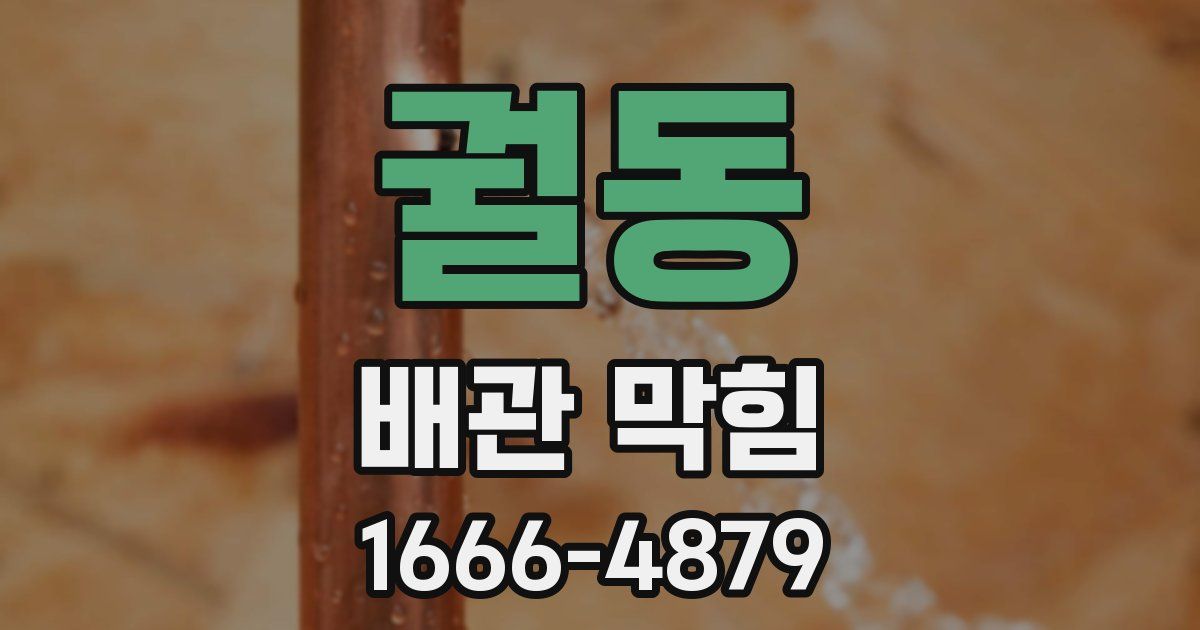 궐동 배관 막힘