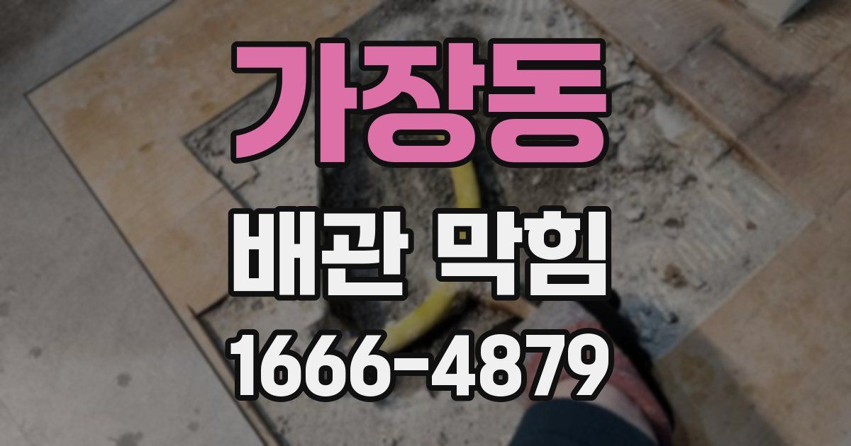 가장동 배관 막힘