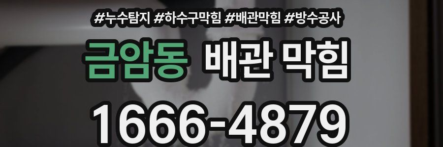 금암동 배관 막힘