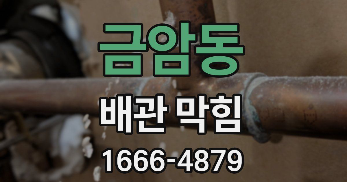 금암동 배관 막힘