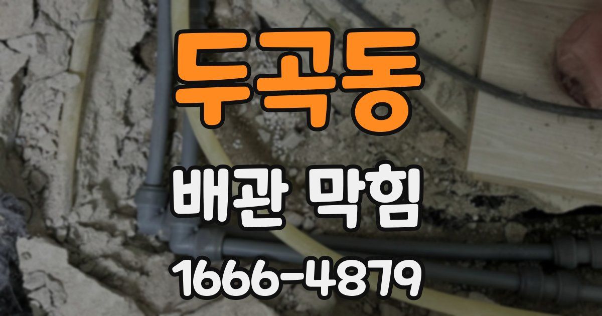 두곡동 배관 막힘