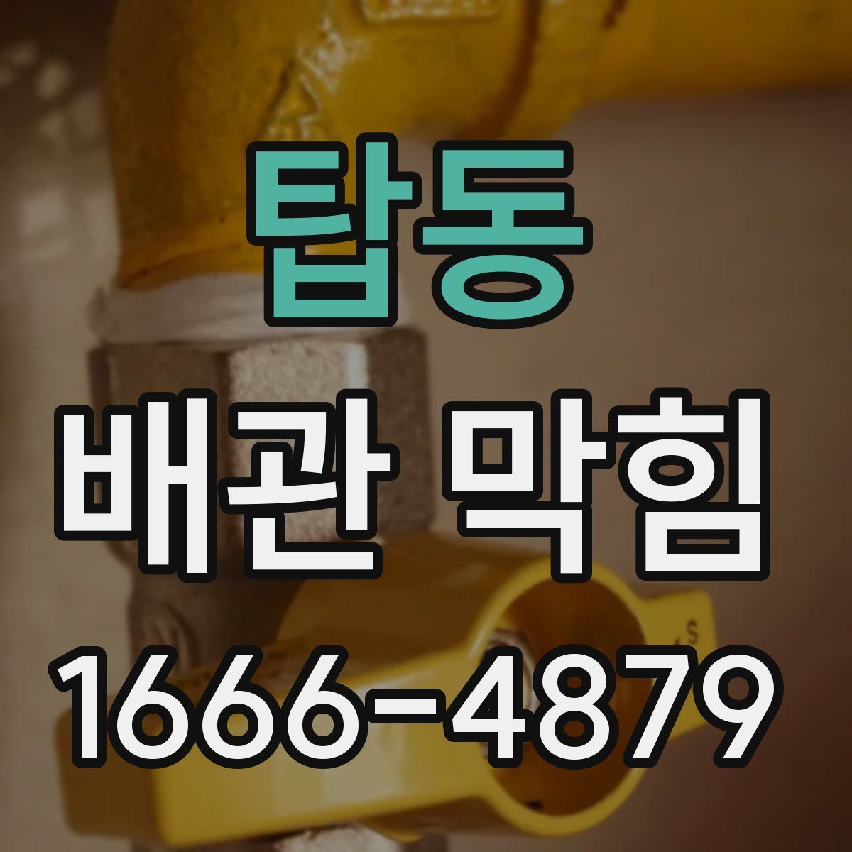 탑동 배관 막힘