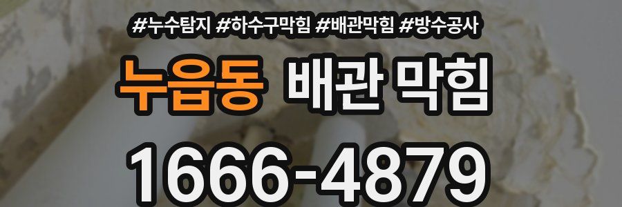 누읍동 배관 막힘