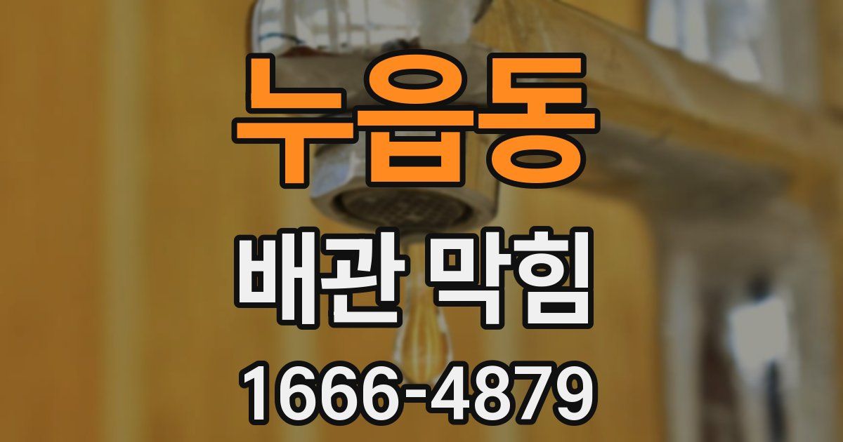 누읍동 배관 막힘