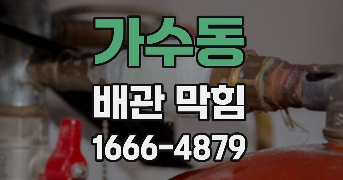 가수동 배관 막힘