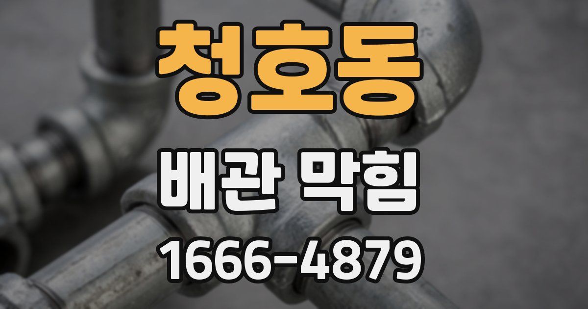 청호동 배관 막힘