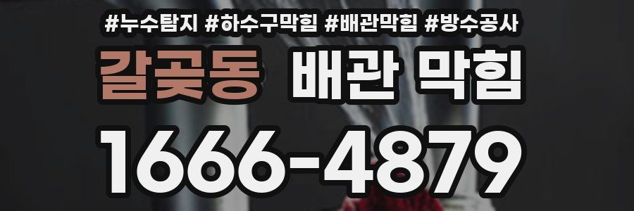 갈곶동 배관 막힘
