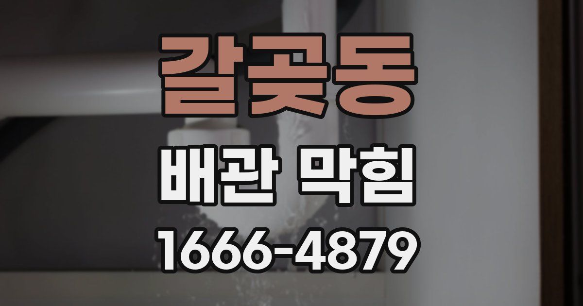 갈곶동 배관 막힘