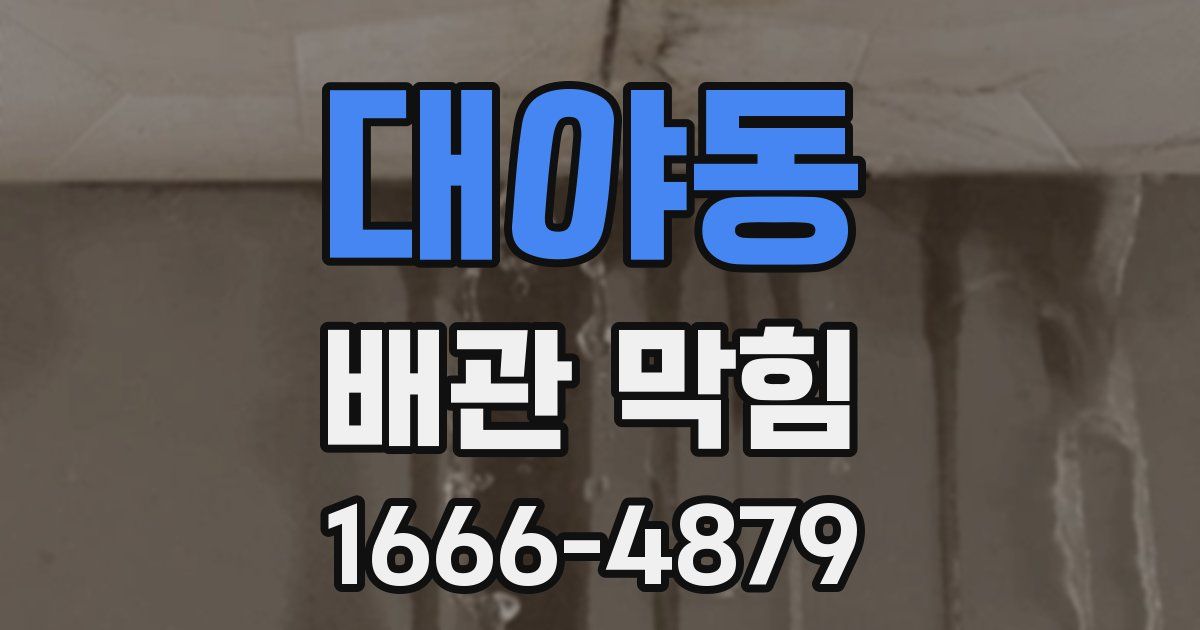 대야동 배관 막힘