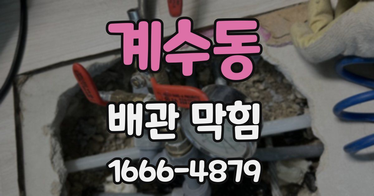 계수동 배관 막힘