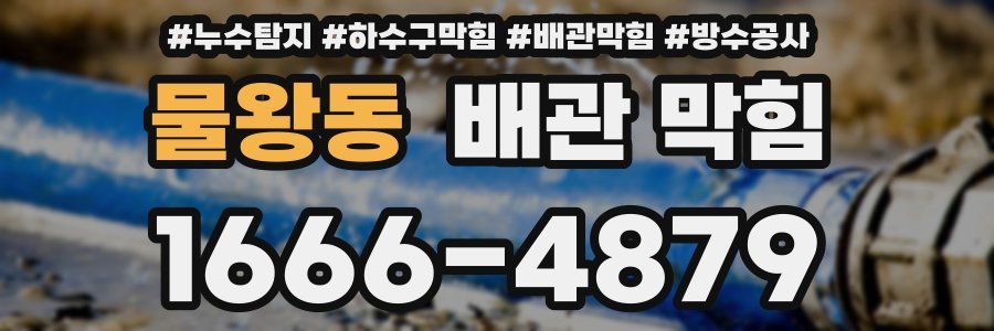 물왕동 배관 막힘
