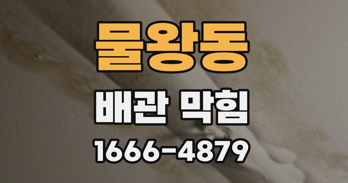 물왕동 배관 막힘
